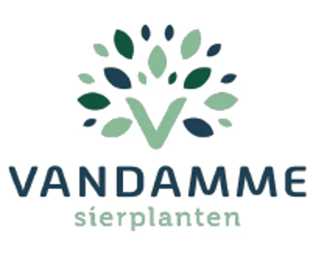 VANDAMME