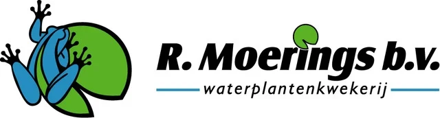 MOERINGS