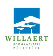 WILLAERT