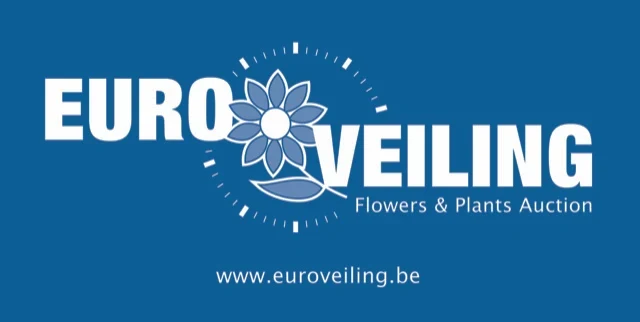 EUROVEILING