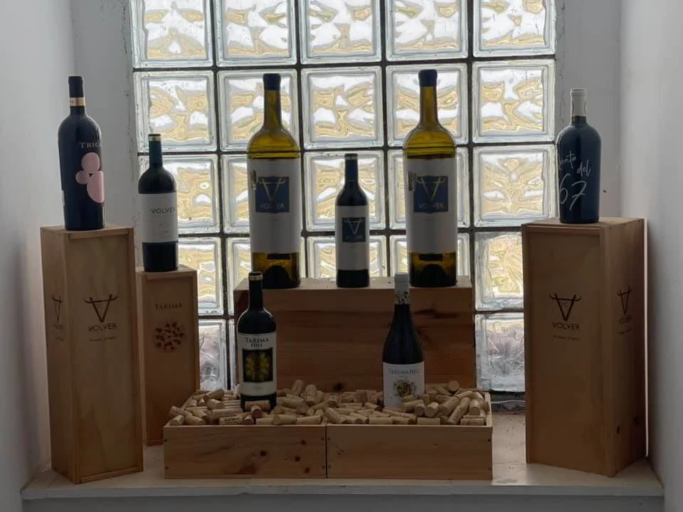Bezoek aan bodega Volver in Alicante