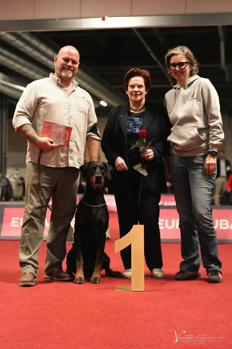 21/02/2026 Charleroi - International Love Dog Show Km: Ingrid Hectors (BE)