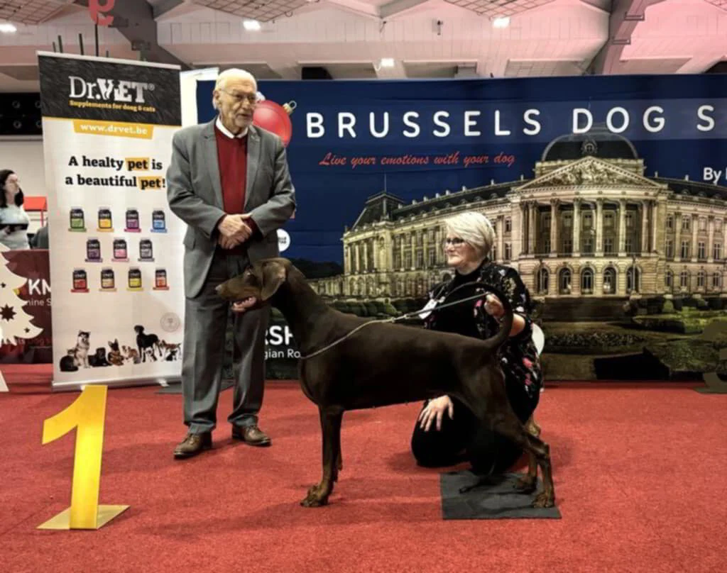 *15/12/2024 CAC Brussel Km.Dhr. Norman Deschuymere (BE)