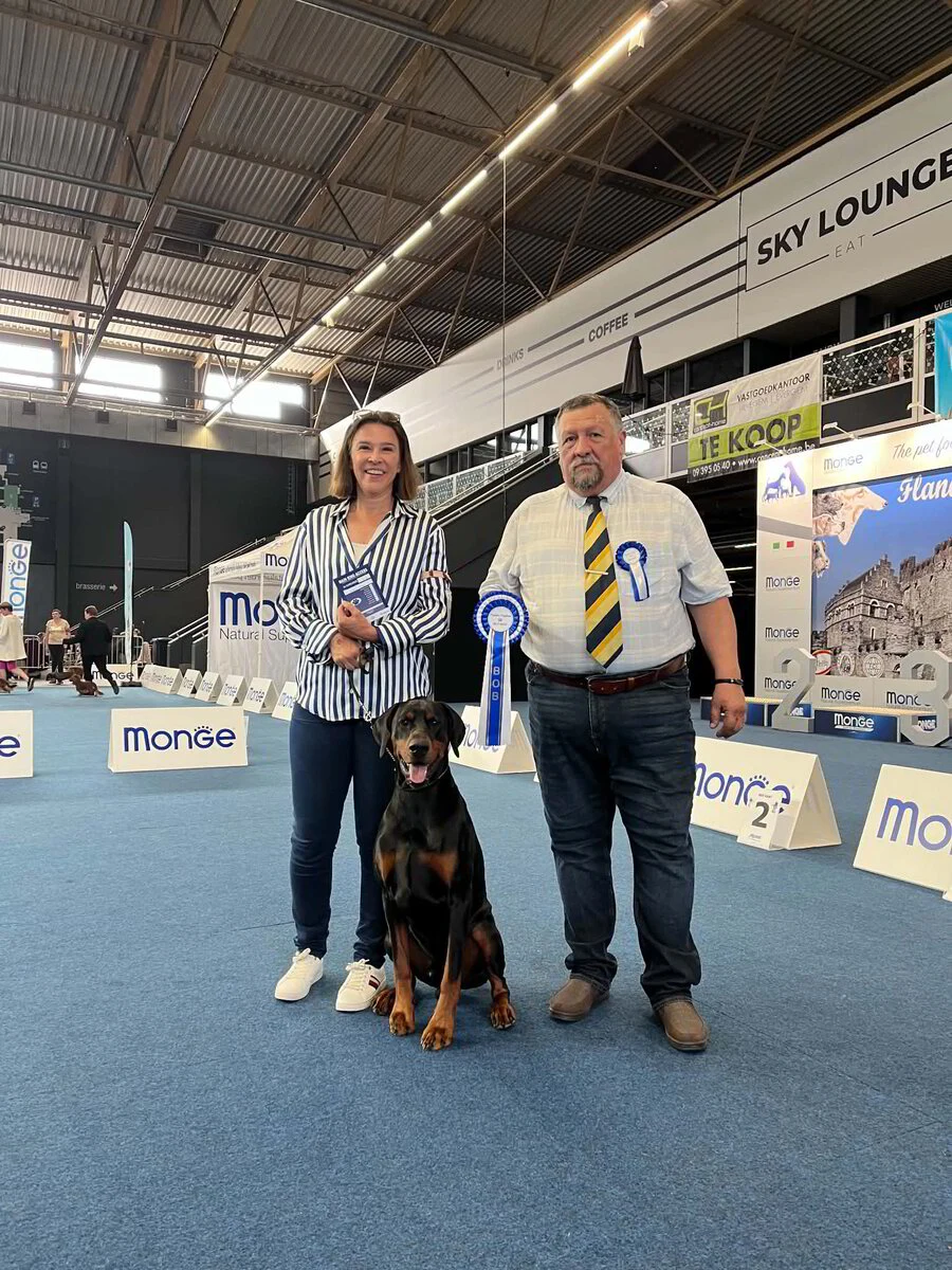 31/05/2026 Gent - 60e Flanders Dog Show Km: Vincenzo Parmiciano (IT)