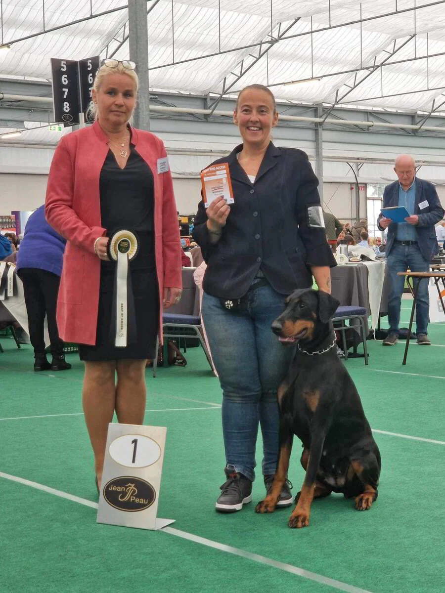 *21/10/2023 CAC-CACIB BLEISWIJK Km. Jeanett Lemmeke (SE)