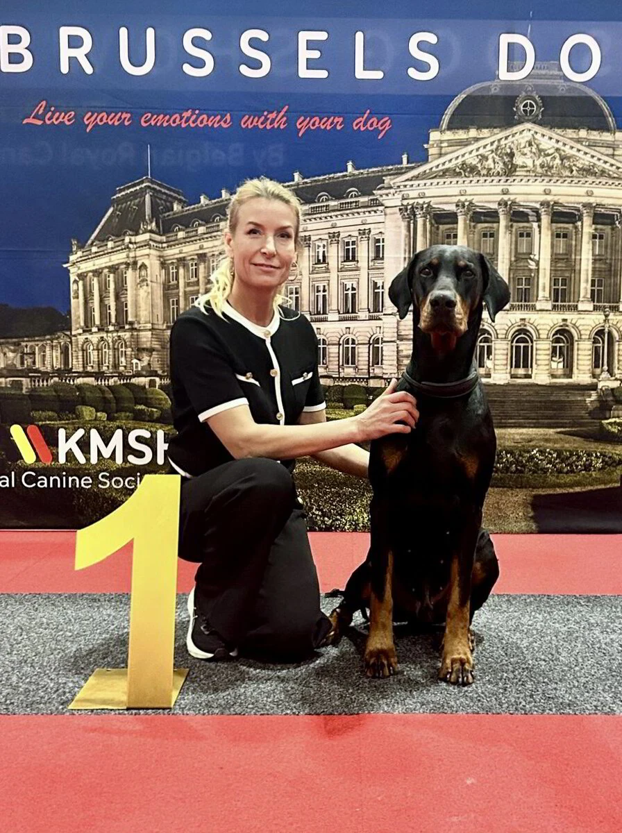 *14/12/2025 140st BDS - Sunday - CAC IIIKm.Dhr. Jos De Cuyper (BE)