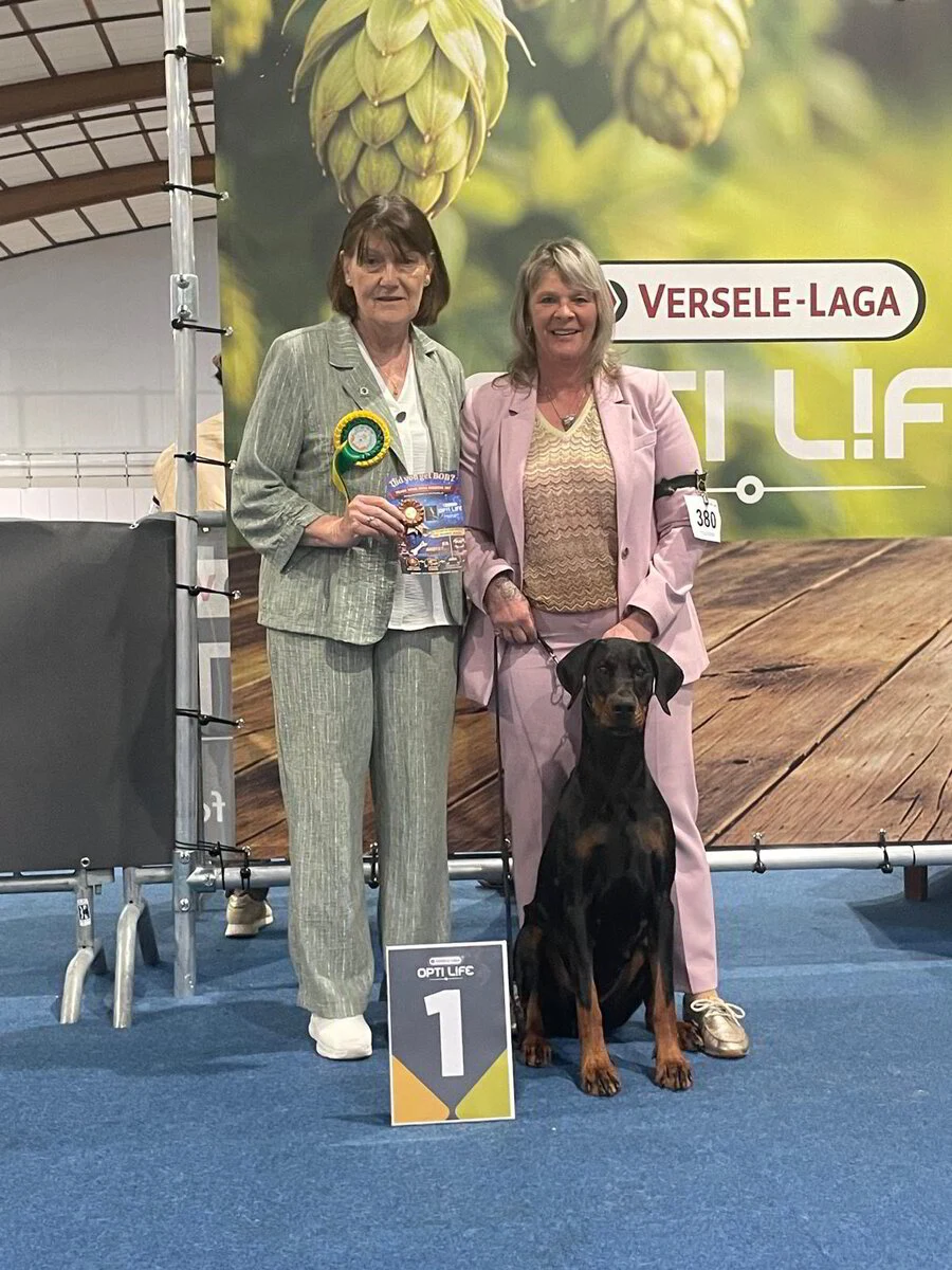 03/05/2026 Wieze - 46e KVN CAC Dogshow Km. Campbell Marion (IER)