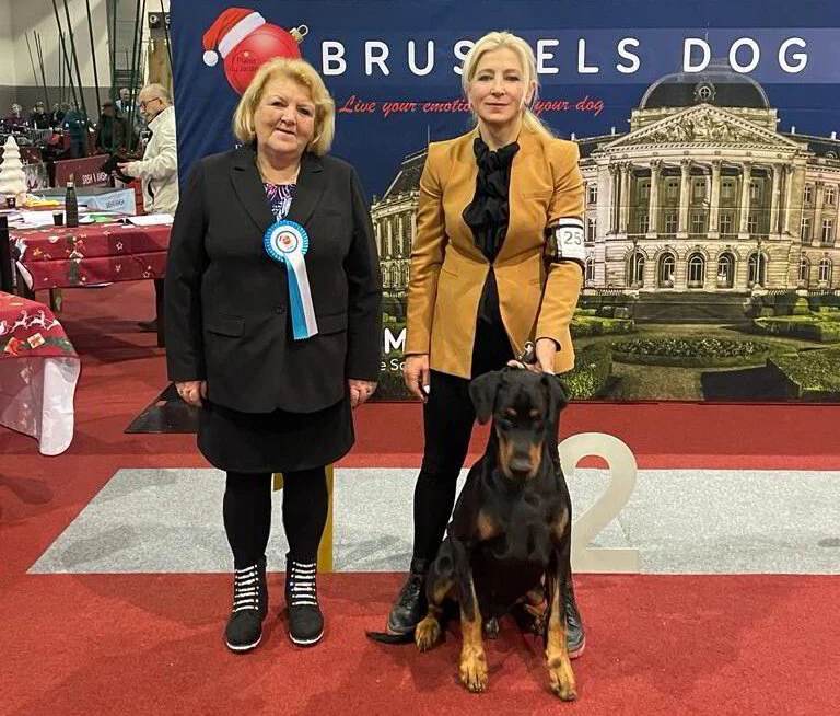 *25/11/2023 CAC-CACIB Dutch Winner Show Km.John Wauben (NL)