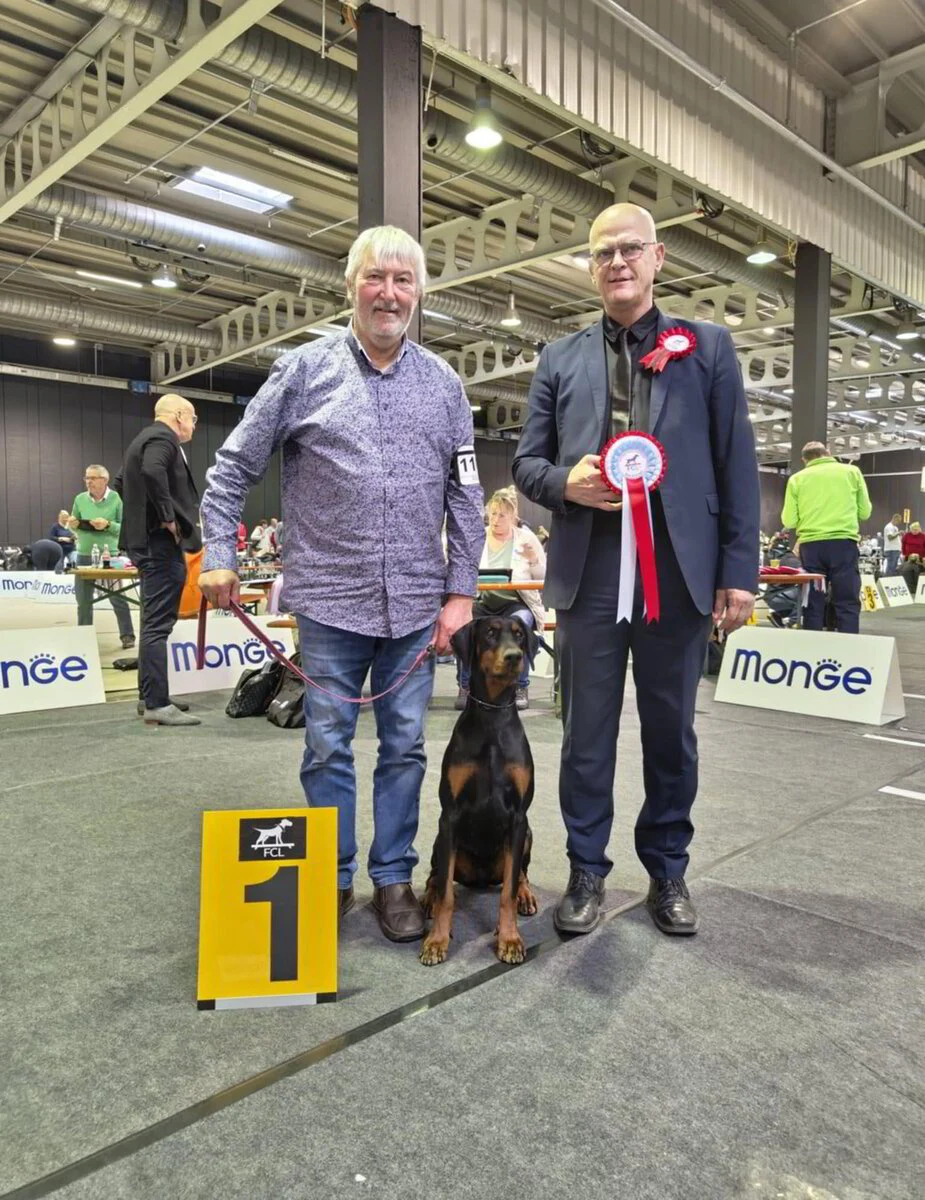 *06/04/2025 113 Ste CAC - CACIB Luxemburg Km: Mr. Wagner Heiko (DE)