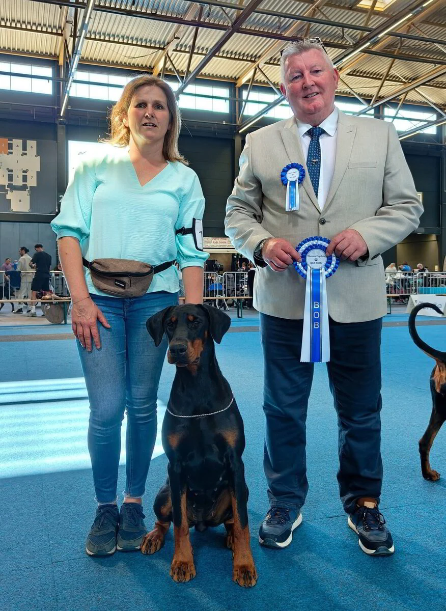 *10/05/2025 CAC-CACIB Gent Dag1 km.Mr. Billy Henderson (IER)