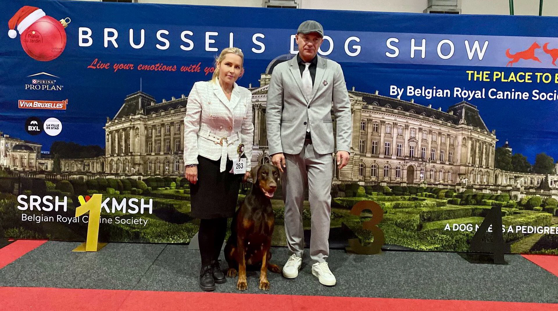 *12/12/2025 135st BDS - Friday - CACIB I + Crufts Q Km.Dhr. Ioan-Nicolae Ranga (RO)
