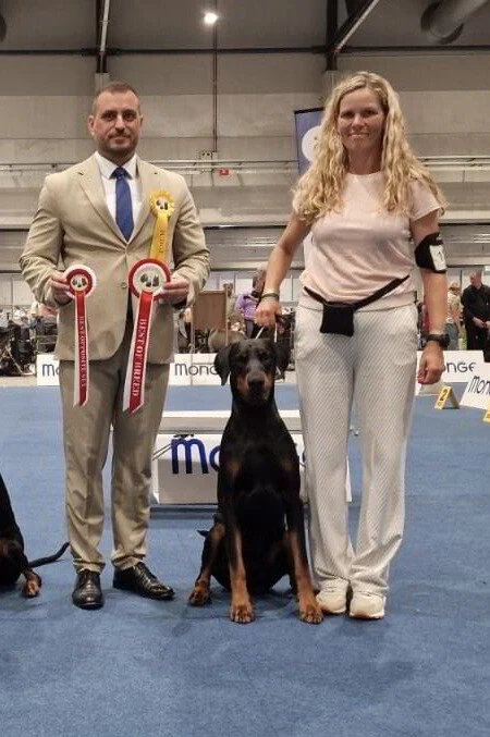 *20/07/2025 CAC-CACIB Golden Dog Trophy - Dag 2 km.Dr. Drako Drobnjak (SRB)
