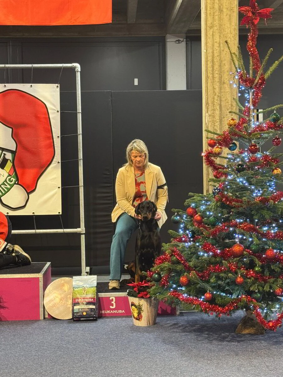 *21/12/2024 HRV Kerstshow Km. Mevr. Van Raamsdonk Chantal (BE)