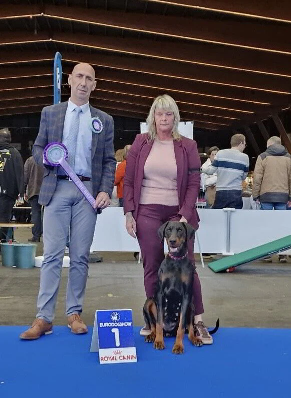 *15/11/2025 - Eurodogshow Kortrijk CAC km.Dhr. Dirk Spruyt (BE)