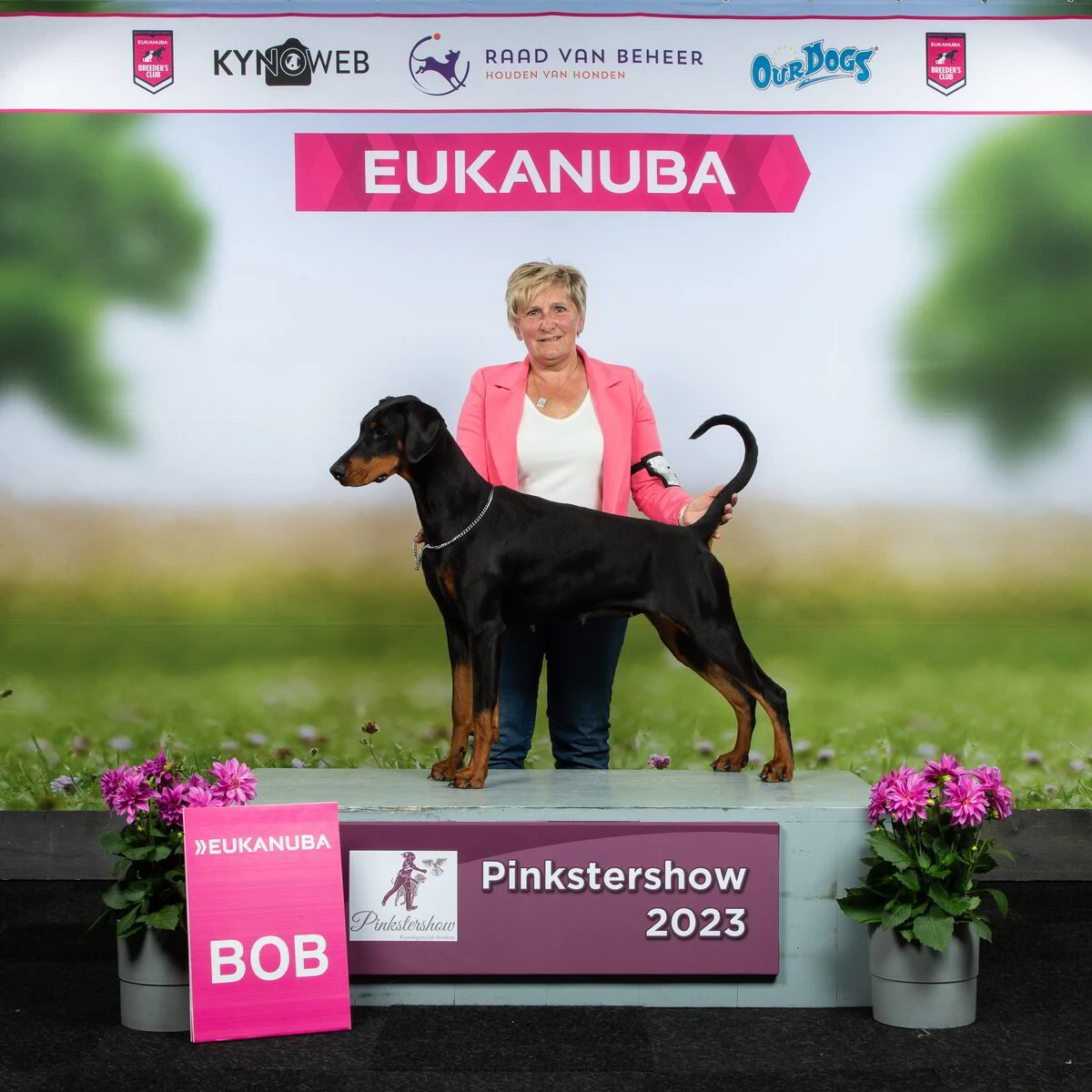 *28/5/2023 CAC-CACIB Pinkstershow Arnhem Km.Dhr.Dick Baars (NL)