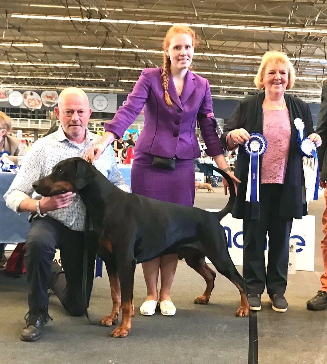 *07/05/2022 CAC-CACIB Gent Km.Mev.Marie-Josée Melchior Schechter (LUX)