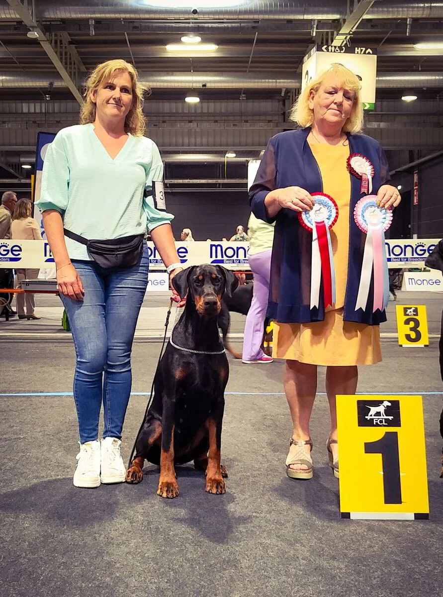 *30/08/2025 114Ste CAC-CACIB- Luxemburg km.Mevr. Marie-Josée Melchior (LUX)
