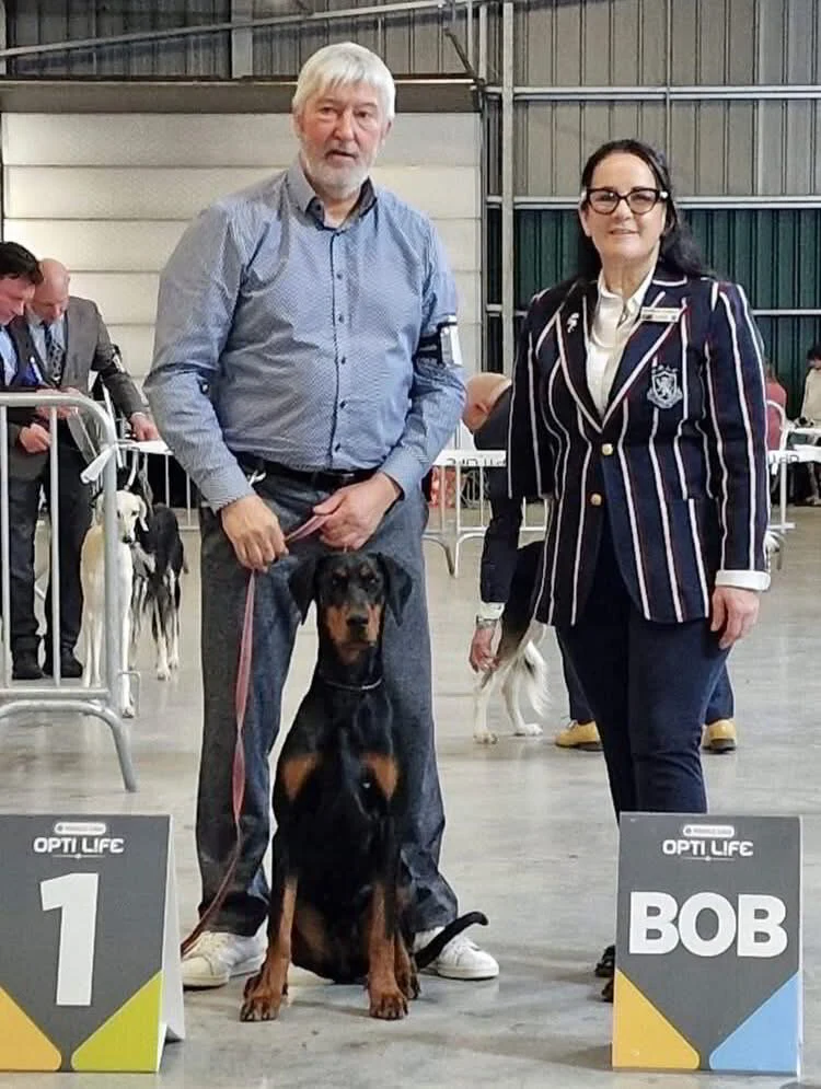 *22/3/2025 CAC -CACIB 49th Schaal der kempen km. Mevr. Janelle W Robins (AUS)