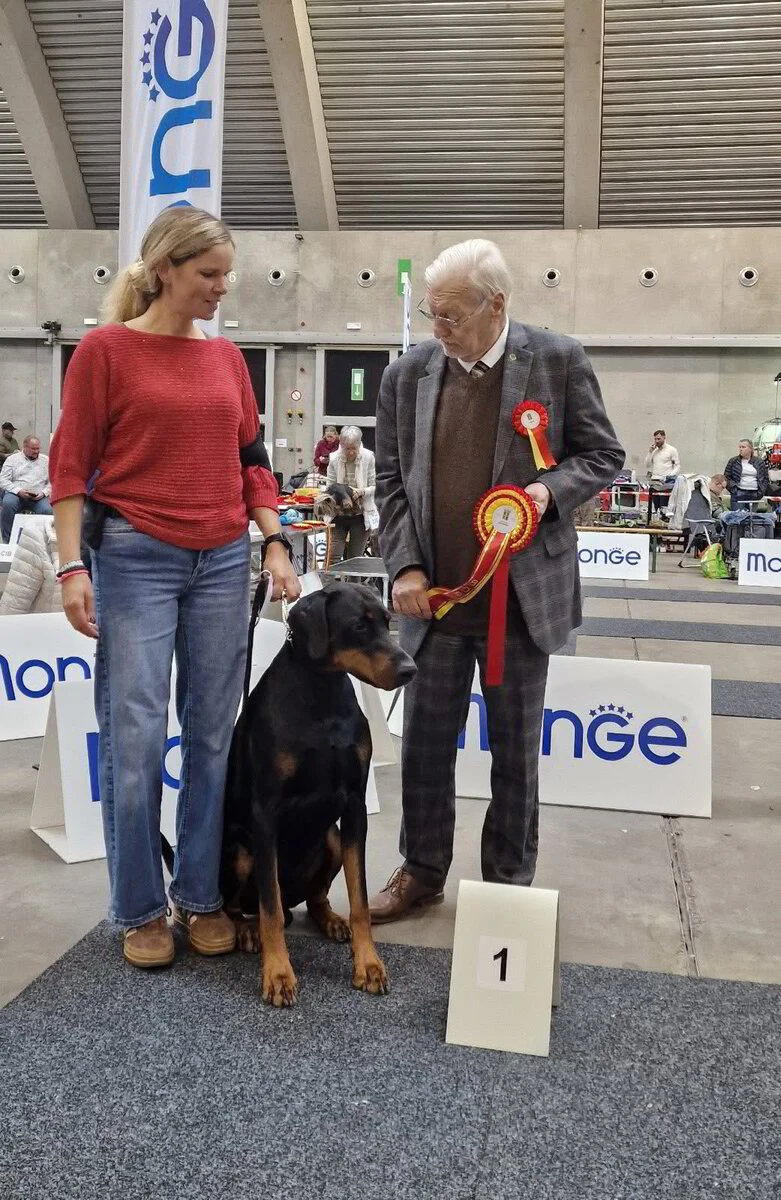 *04/10/2025 CAC-CACIB- Wallonia Dog Show Mons Km. Mr. Norman Deschuymere (BE)