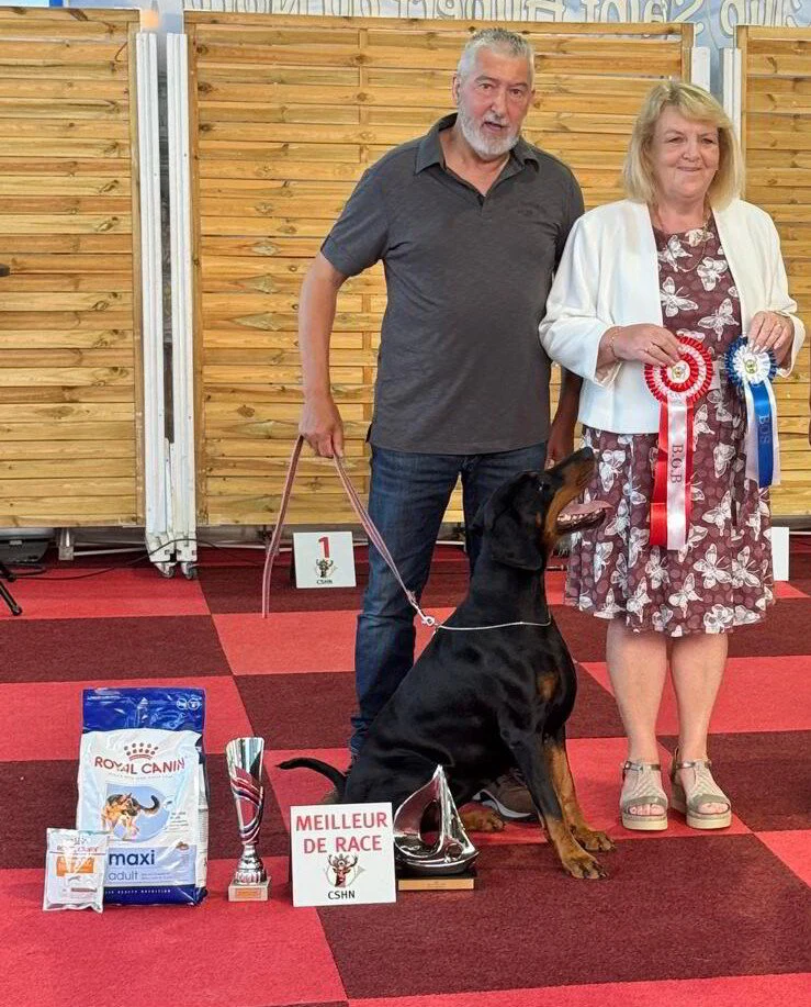 *12/7/2026 CAC -CACIB Maubeuge Km. Marie Jose Melchior (LU)