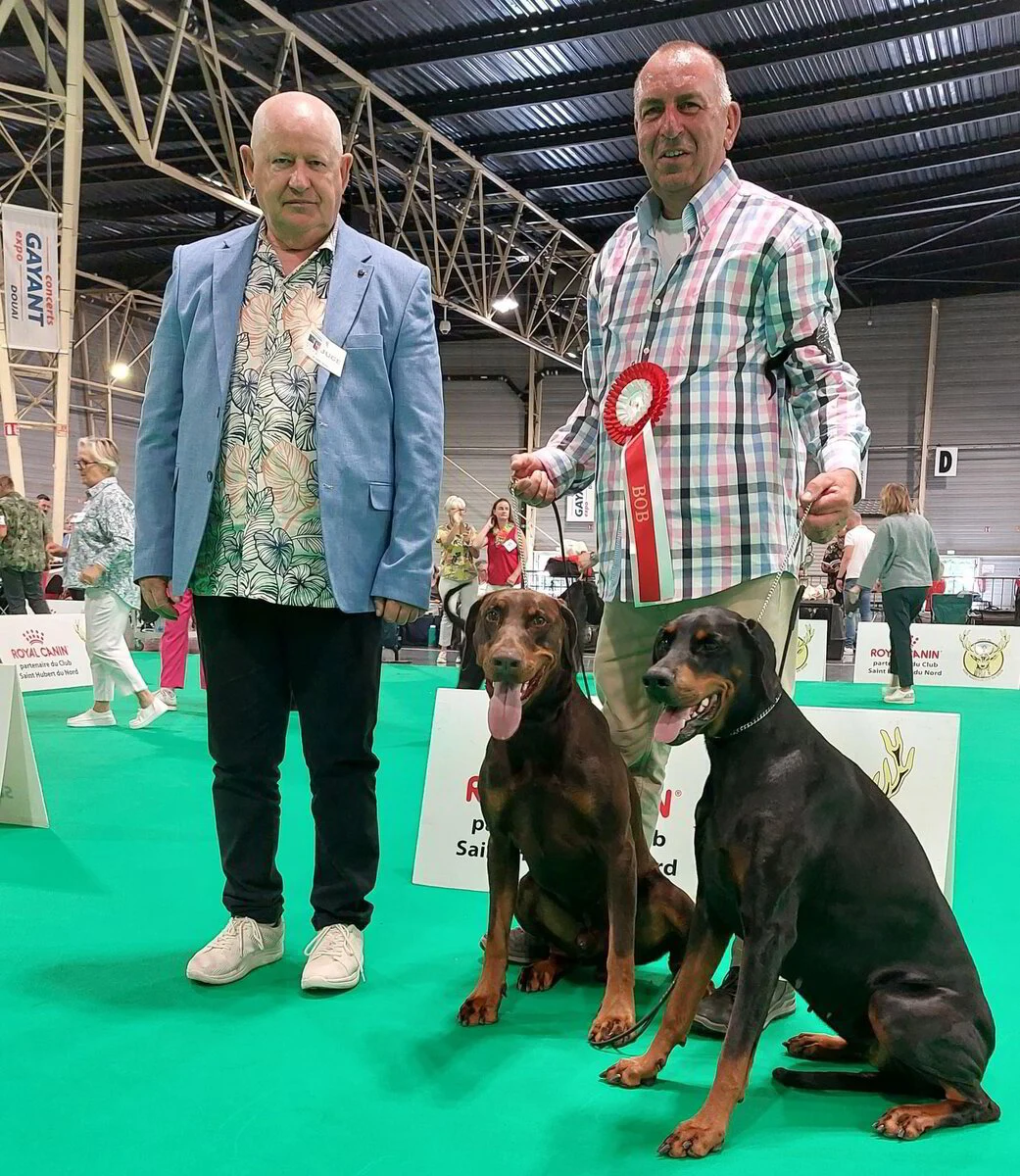 *15/7/2023 CAC-CACIB Douai Km.S.Sinko (Slo)
