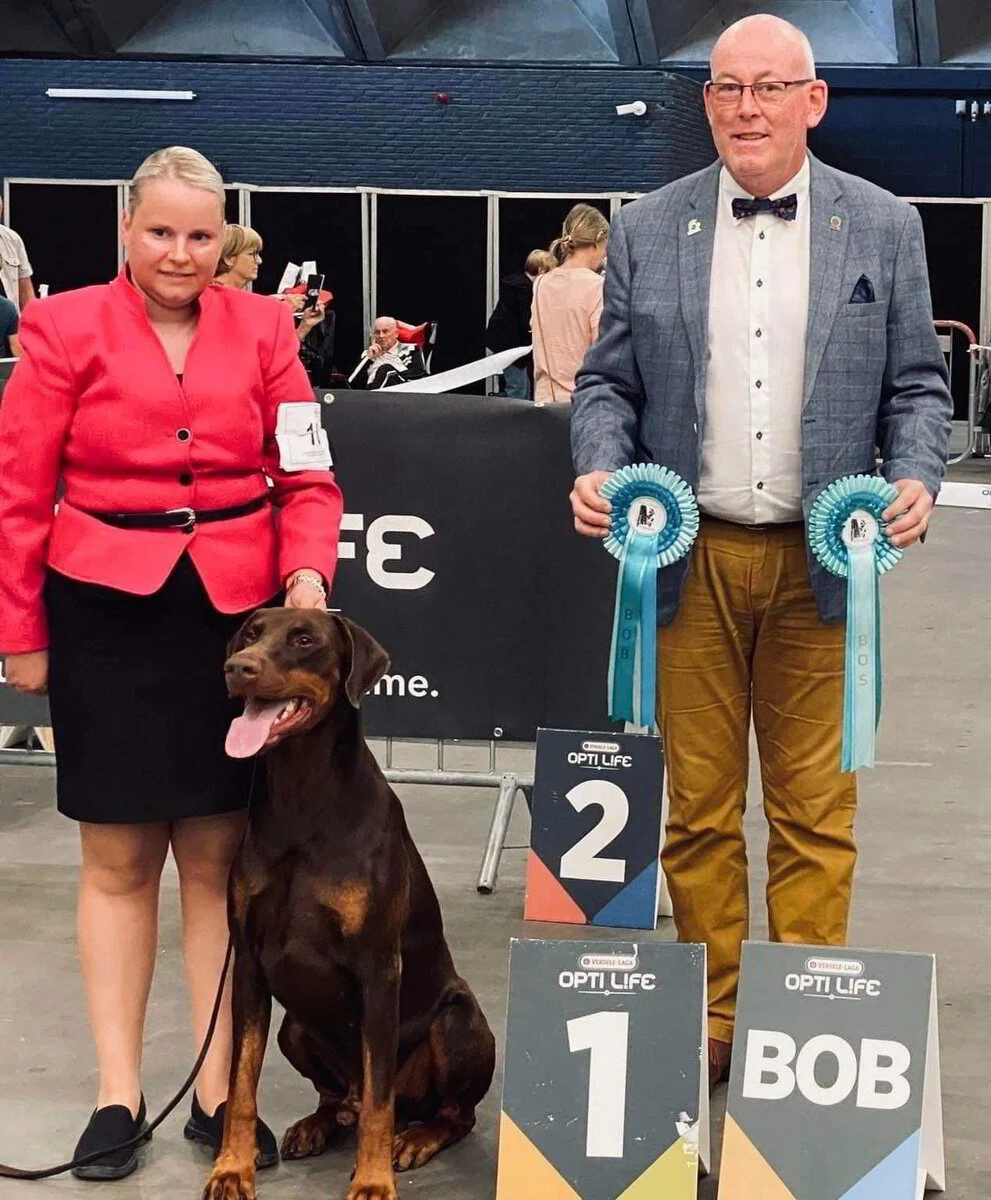 *24/07/2022 CAC-CACIB Mechelen Km.Anthony Kelly (Ier)