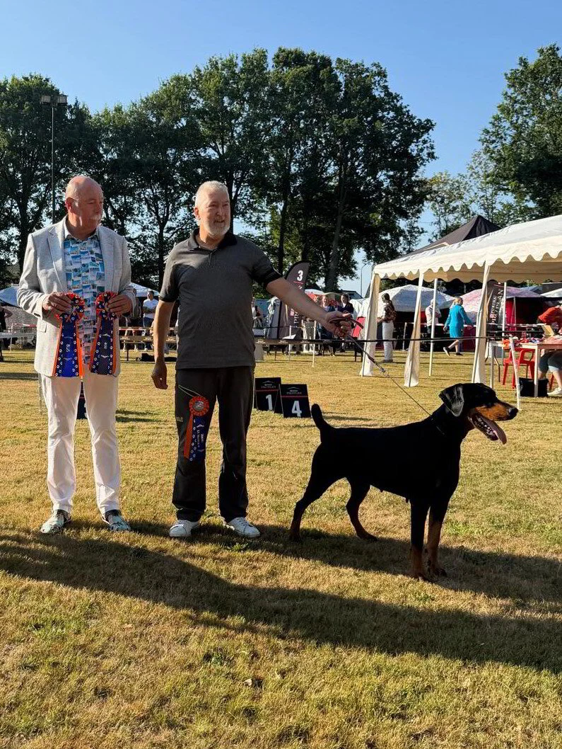 *11/7/2026 CAC Brabants Rashondenfestival – OUTDOOR Km. André van den Broek(NL)