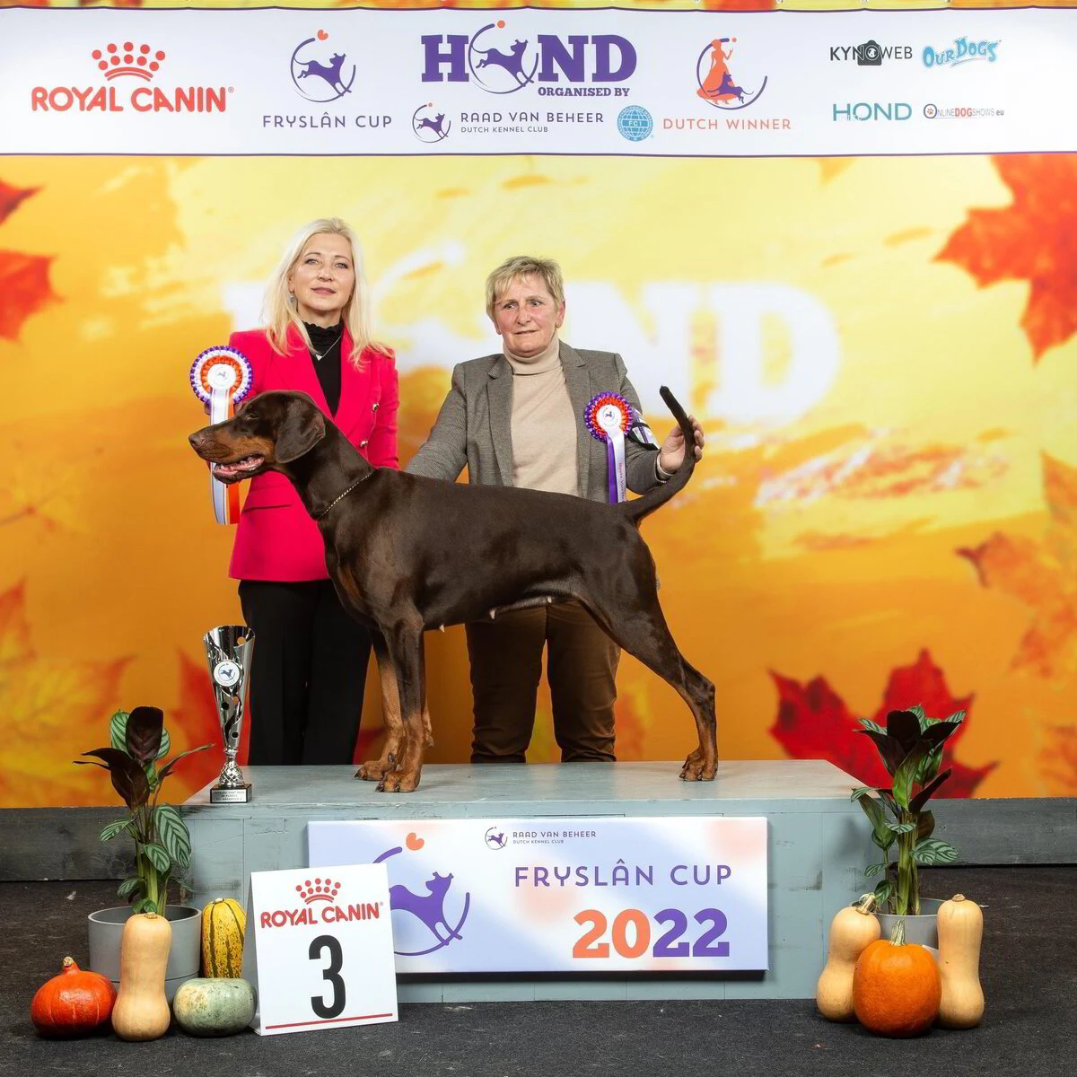 *25/11/2022 CAC-CACIB Fryslan Cub Km.Jetta Tschokkinen (Fin)