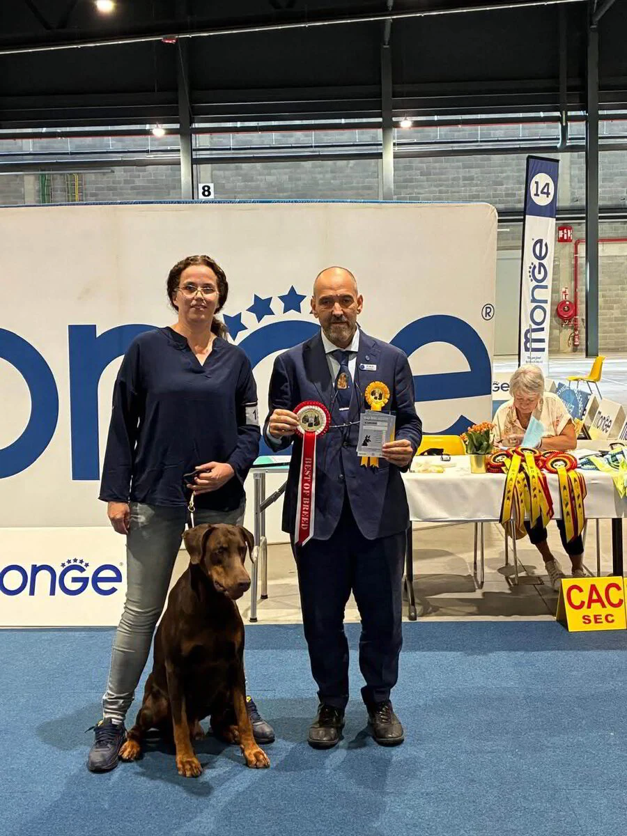 25/07/2026 LIEGE - Golden Dog Trophy - Day 1 Km: Drudi Enrico (SM)