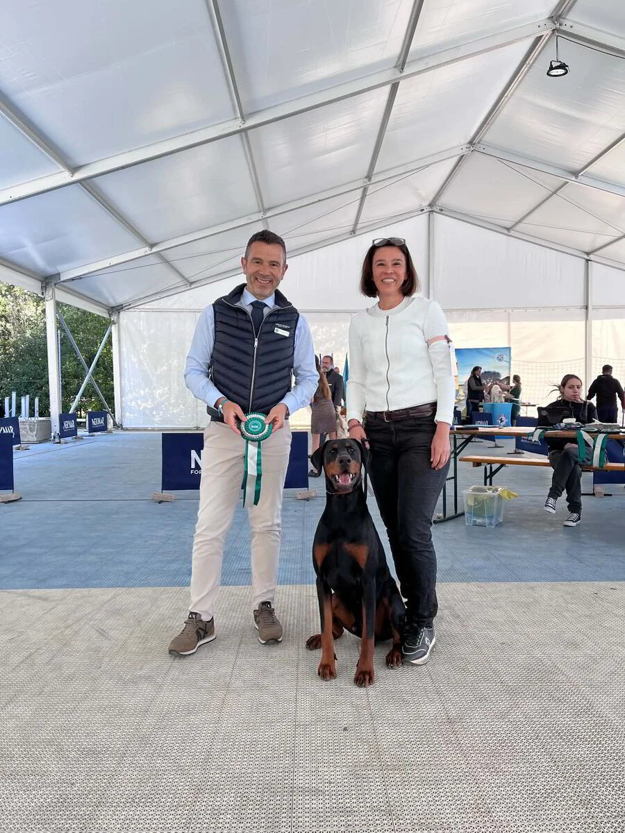 *01/5/2026 CAC/CACIB ZADAR - CACIB I Km. Poças João Vasco (PT)