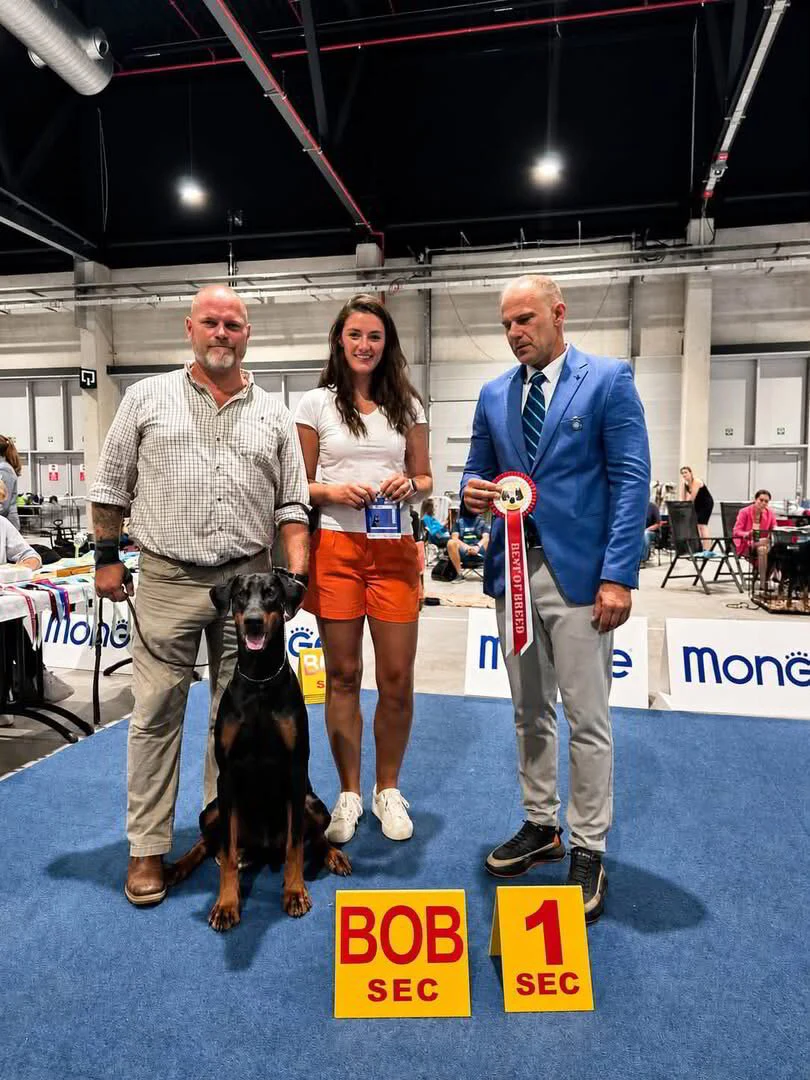 26/07/2026 LIEGE - Golden Dog Trophy - Day 2 Km: Ranga Ioan-Nicolae (RO)