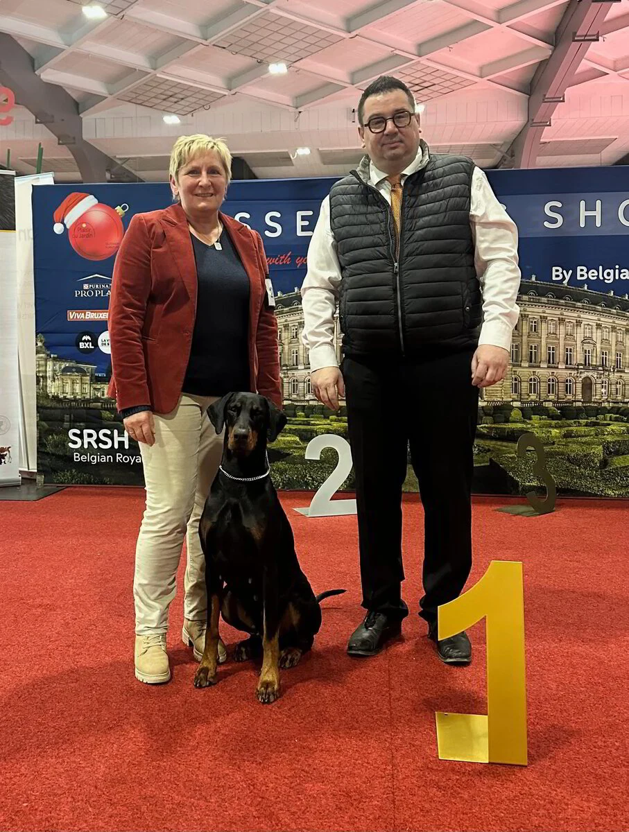 *15/12/2024 CAC -CACIB Brussel Km.Dhr. Ante Lucin (HR)