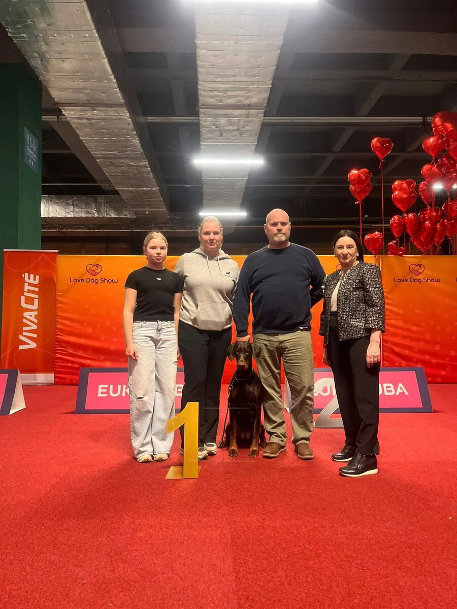 21/02/2026 Charleroi - National Love Dog Show Km: Carmen Navarro Guisado (ES)