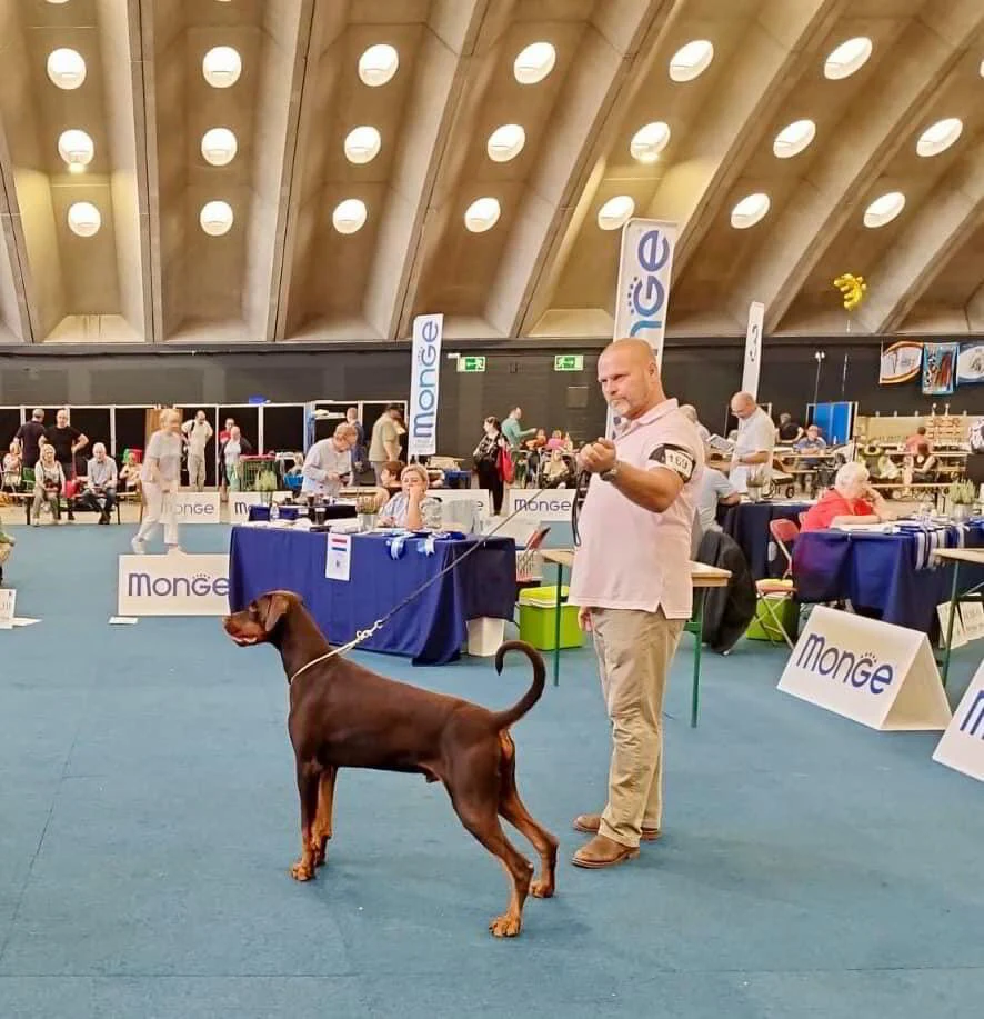 *24/08/2024 CAC -CACIB Mechelen Km.Mevr. Anita Gielisse (NL)