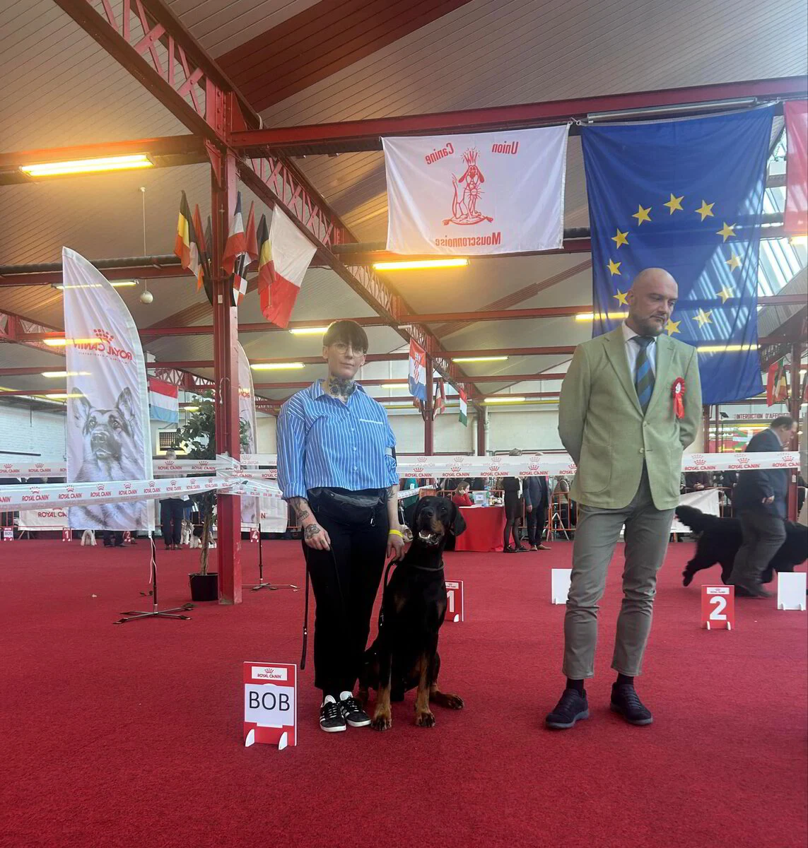 *1/2/2025 CAC -CACIB Moeskroen Km.Dhr. Augustin Ionescu (RO)