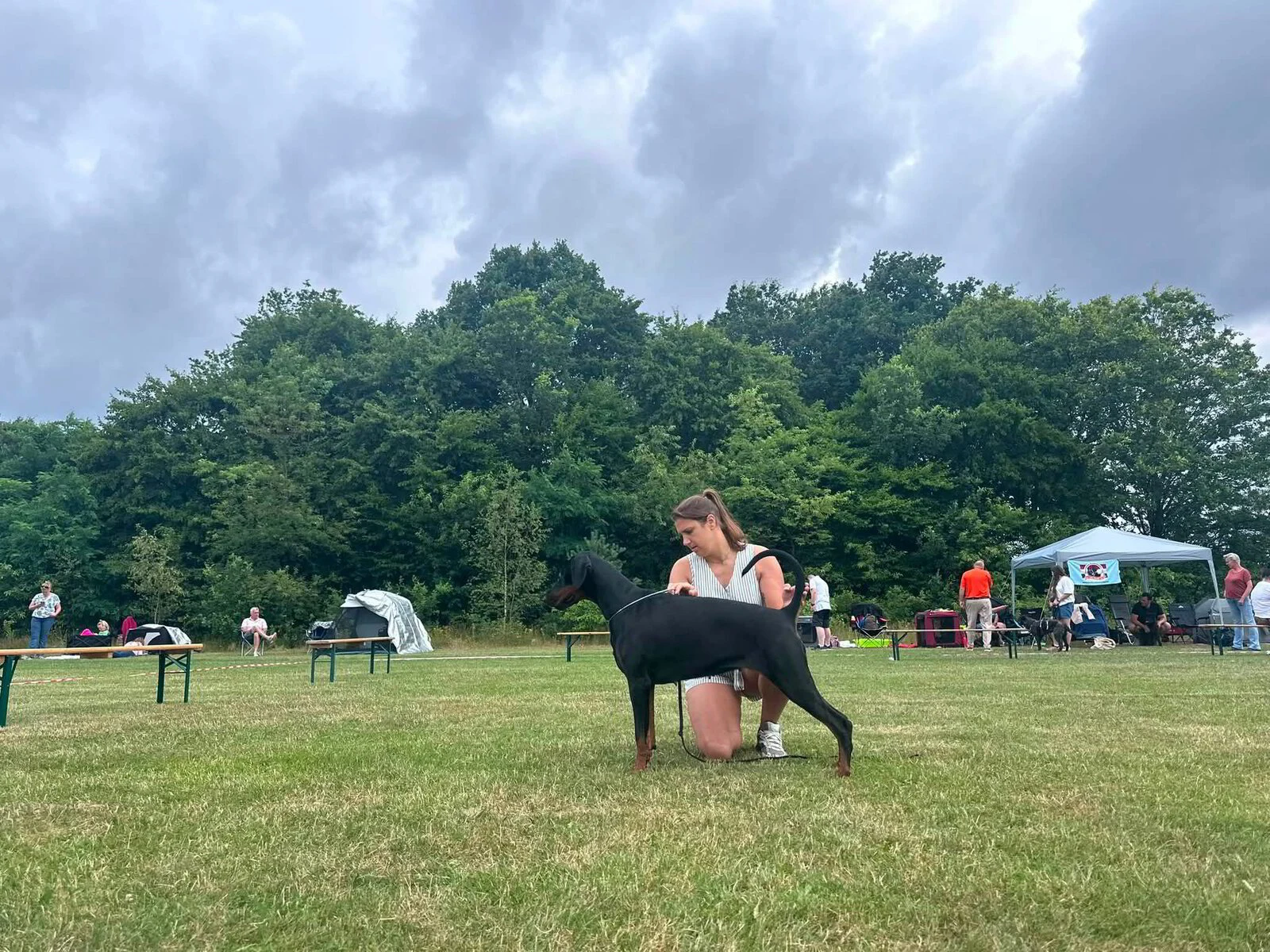 *5/7/2026 CACIB Dogshow Utrecht 2026 Km. Gielisse Anita (NL)