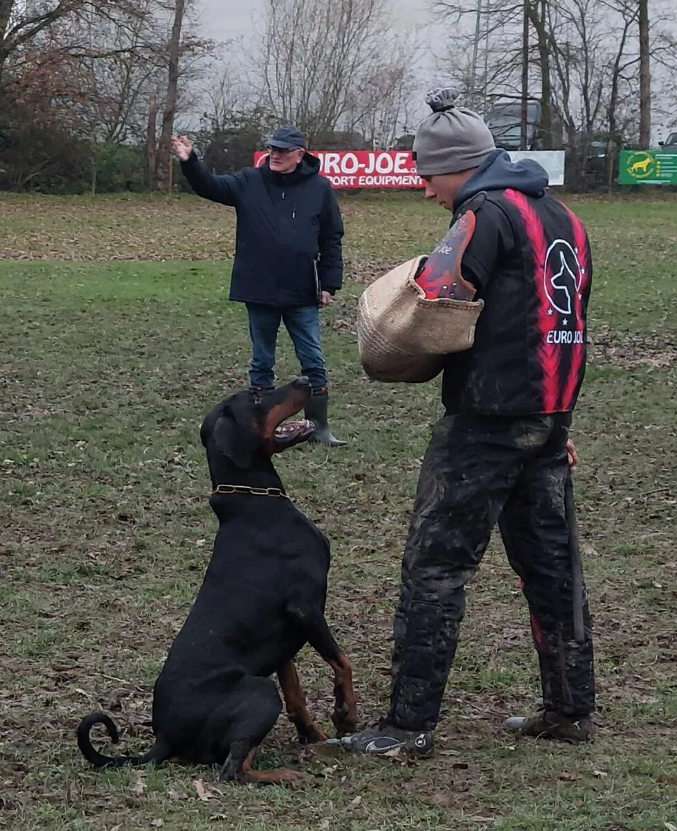 16/12/2023 VVDH KG38 AALST