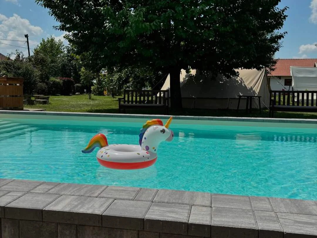 Zwembad met flamingo in de zomerzon