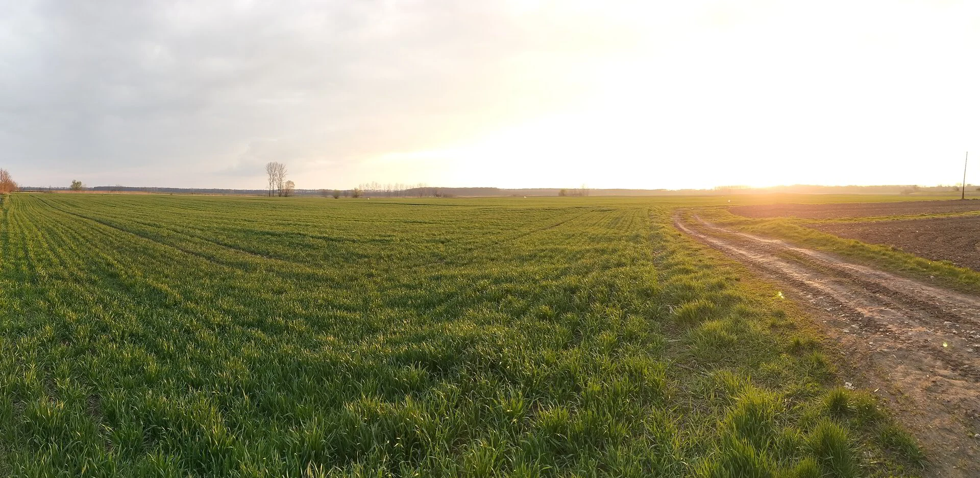 Zonsondergang over de velden van de poesta