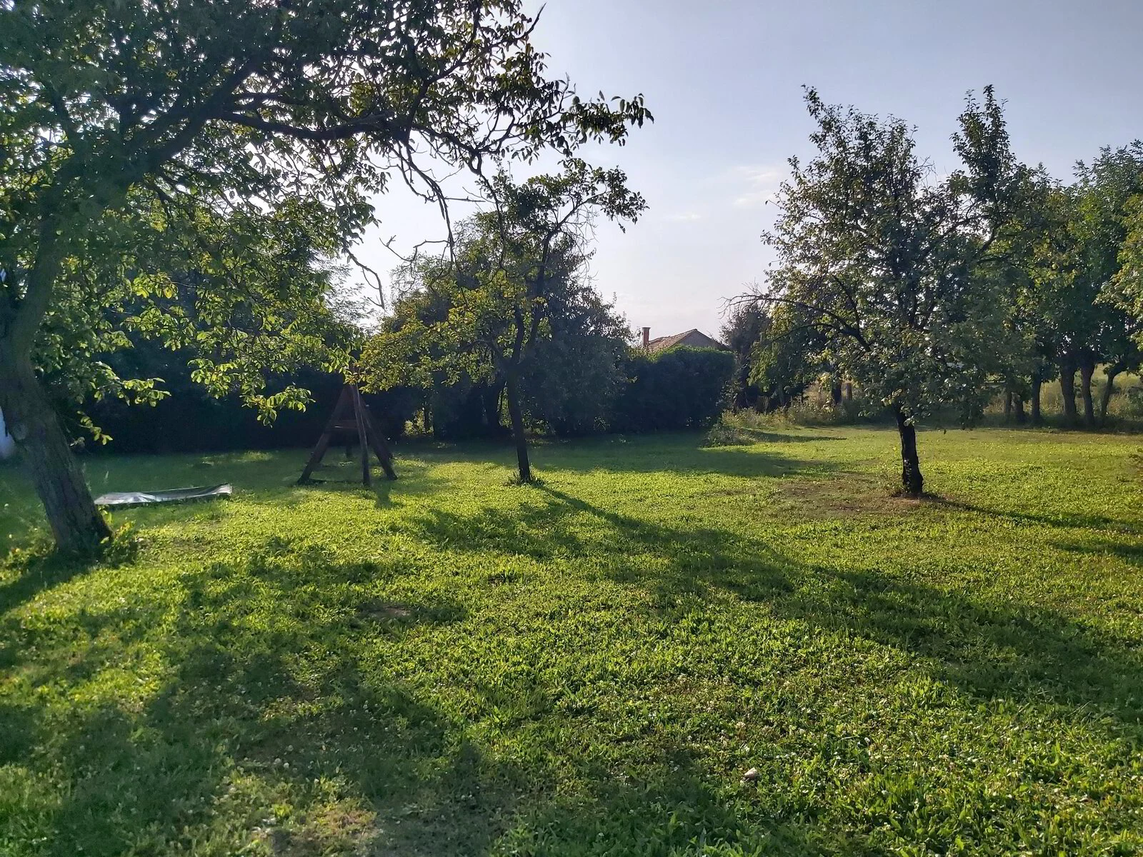 De tuin vol fruitbomen