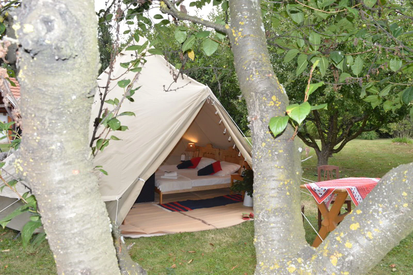 Glampingtent tussen de bomen