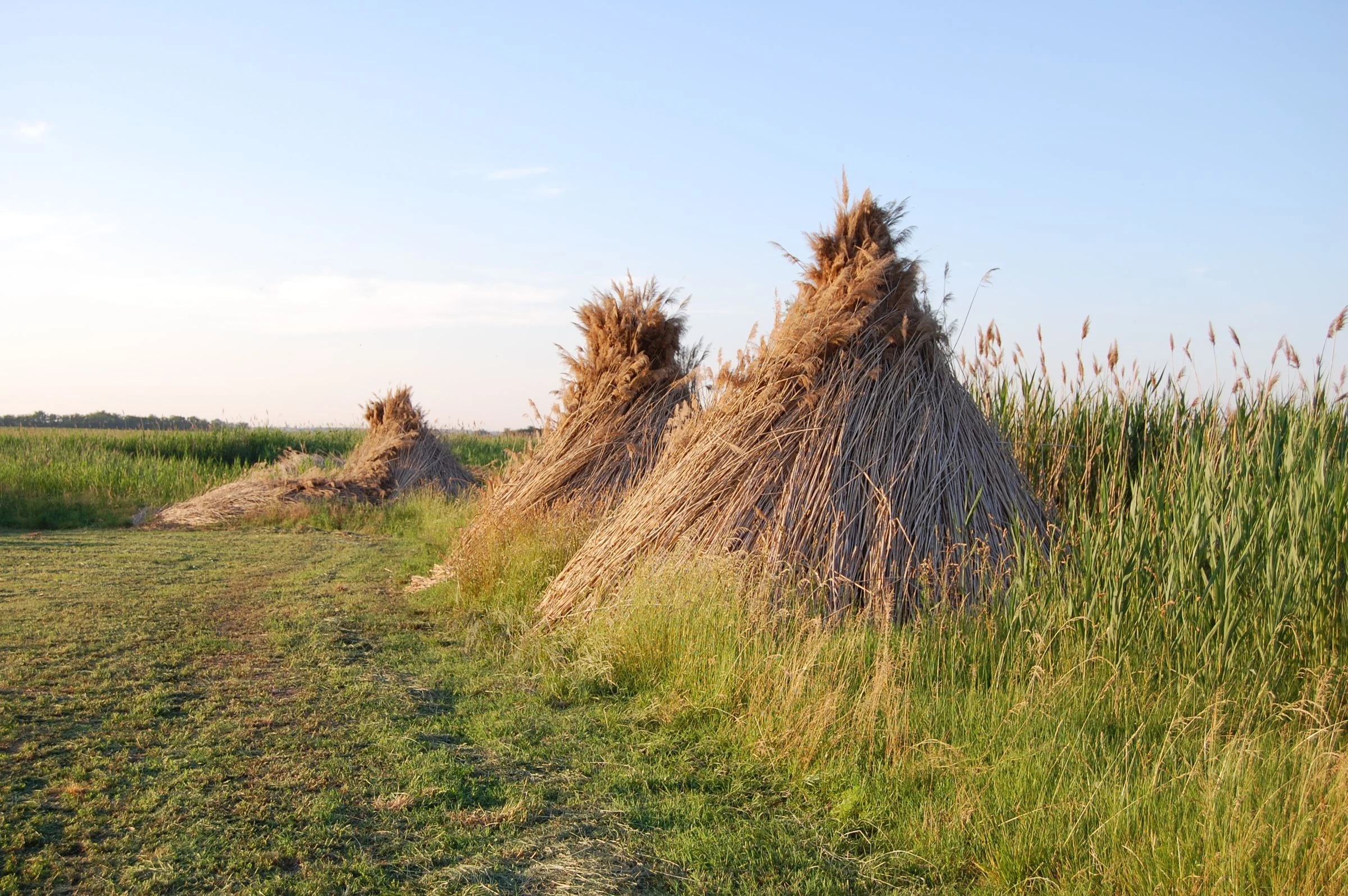 Hooimijten op de vlakte van Hortobágy